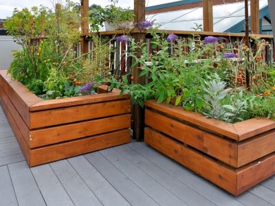 raised garden bed gives an aesthetic look
