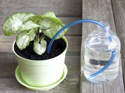self watering devices to keep plants alive while on vacation