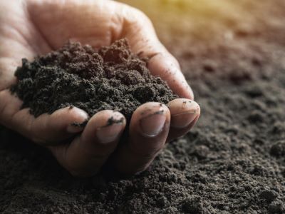 benefits of adding calcium to soil