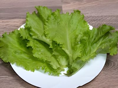 green leaf lettuce on the plate