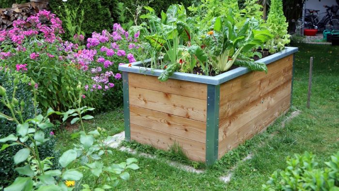 why are raised garden bed a must