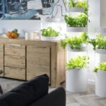 the best indoor garden system